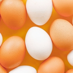 can you use egg whites instead of eggs when baking