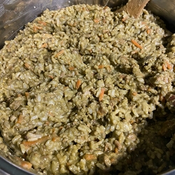 Pet food - Ground beef and rice for dogs recipe