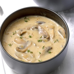 Lunch - Condensed Vegan Cream of Mushroom Soup recipes